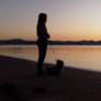 Clic per visualizzare i caricamenti per GBD Films
