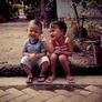 Click to view uploads for agus lubis