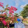 Click to view uploads for Lilin Jasmine