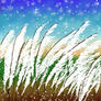 Click to view uploads for jeera Mangkla