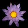 Click to view uploads for Joost Potma