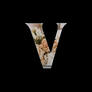 Click to view uploads for Vishal Kandulna
