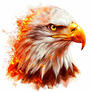 Click to view uploads for Mahabub Rahaman