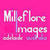 Click to view uploads for millefloreimages