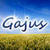 Clic per visualizzare i caricamenti per gajus