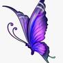 Click to view uploads for MD Salim Haolader