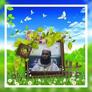 Click to view uploads for HAFEZ MAOLANA SAKHAWATULLAH