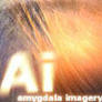 Haga clic para ver las cargas de amygdala imagery