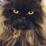 Click to view uploads for Leonid Portnoy