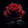 Click to view uploads for Florence Mana Sarkar