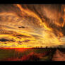 Click to view uploads for Chirag Dave