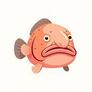 Click to view uploads for Duncan Obeto