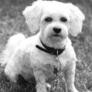 Click to view uploads for lars1971christensen957096