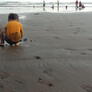 Click to view uploads for Budiono Budiono