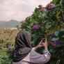 Click to view uploads for Ana Faliha Husna