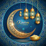 Click to view uploads for Md Idris