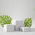Click to view uploads for riarrrizarr080517658