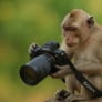 Click to view uploads for Karen Vardanian