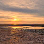 Click to view uploads for Romain P19