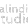 Click to view uploads for salindia studio
