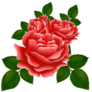 Click to view uploads for Kamolthip Donlueam