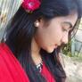 Click to view uploads for MD ALAMGIR HOSSAIN