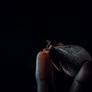 Click to view uploads for Alfawwazi Zhask