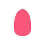 Click to view uploads for hidungg jambu