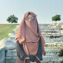 Click to view uploads for Syeda Nisa Rahman