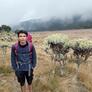 Click to view uploads for Berti Wijaya