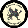 Cliquez pour afficher les importations pour callidusvisiophotography