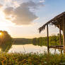Click to view uploads for Ekapat Suwanmanee