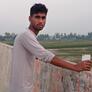 Click to view uploads for H M Shamim Al Razi