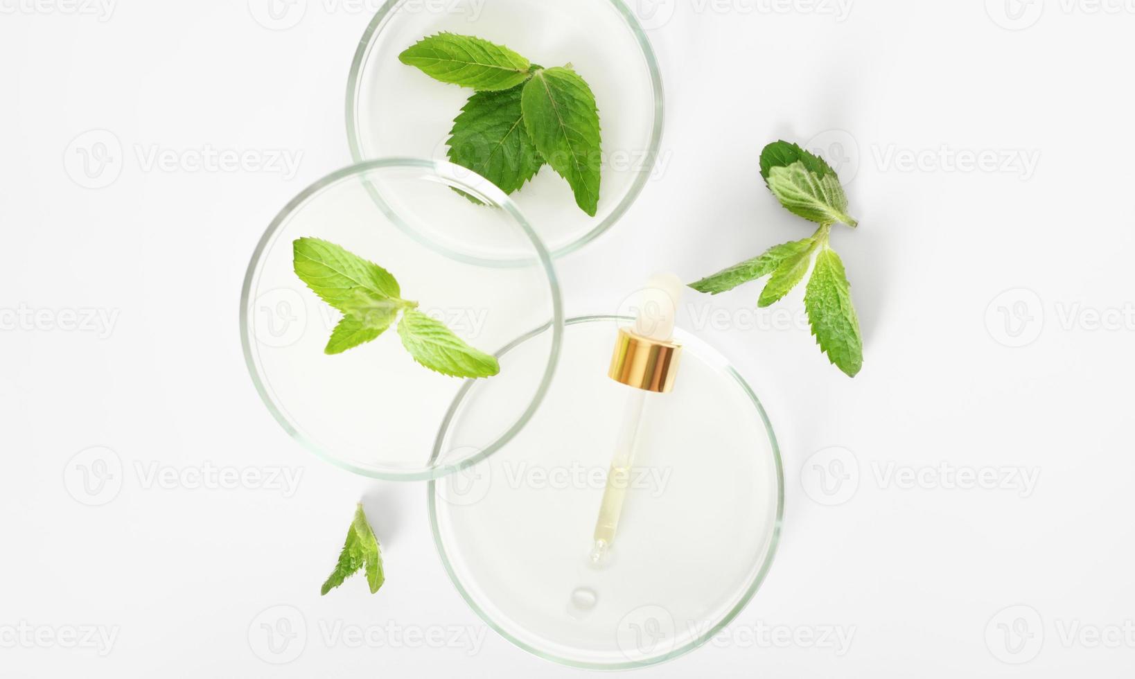 pipetta contagocce con siero per la cura del viso su una capsula di Petri con foglie di menta. cosmetici sviluppati in laboratorio. ricerca sulla bellezza naturale. vista dall'alto. cura della pelle biotecnologica. foto