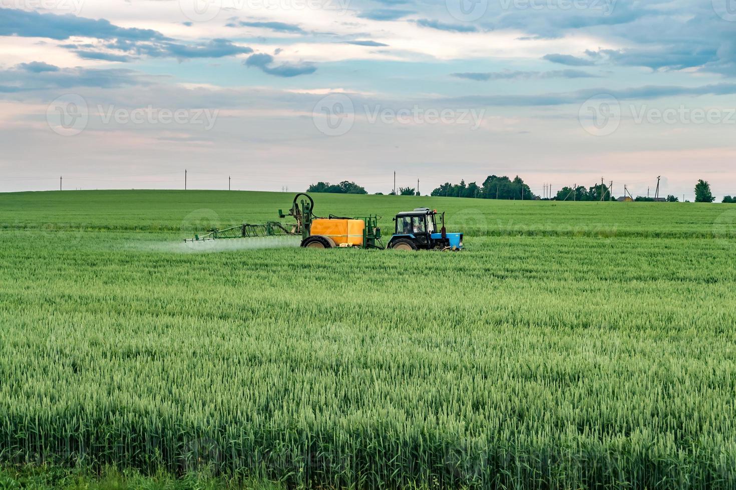 agricoltore che spruzza il campo di grano con l'irroratrice del trattore nella stagione primaverile foto