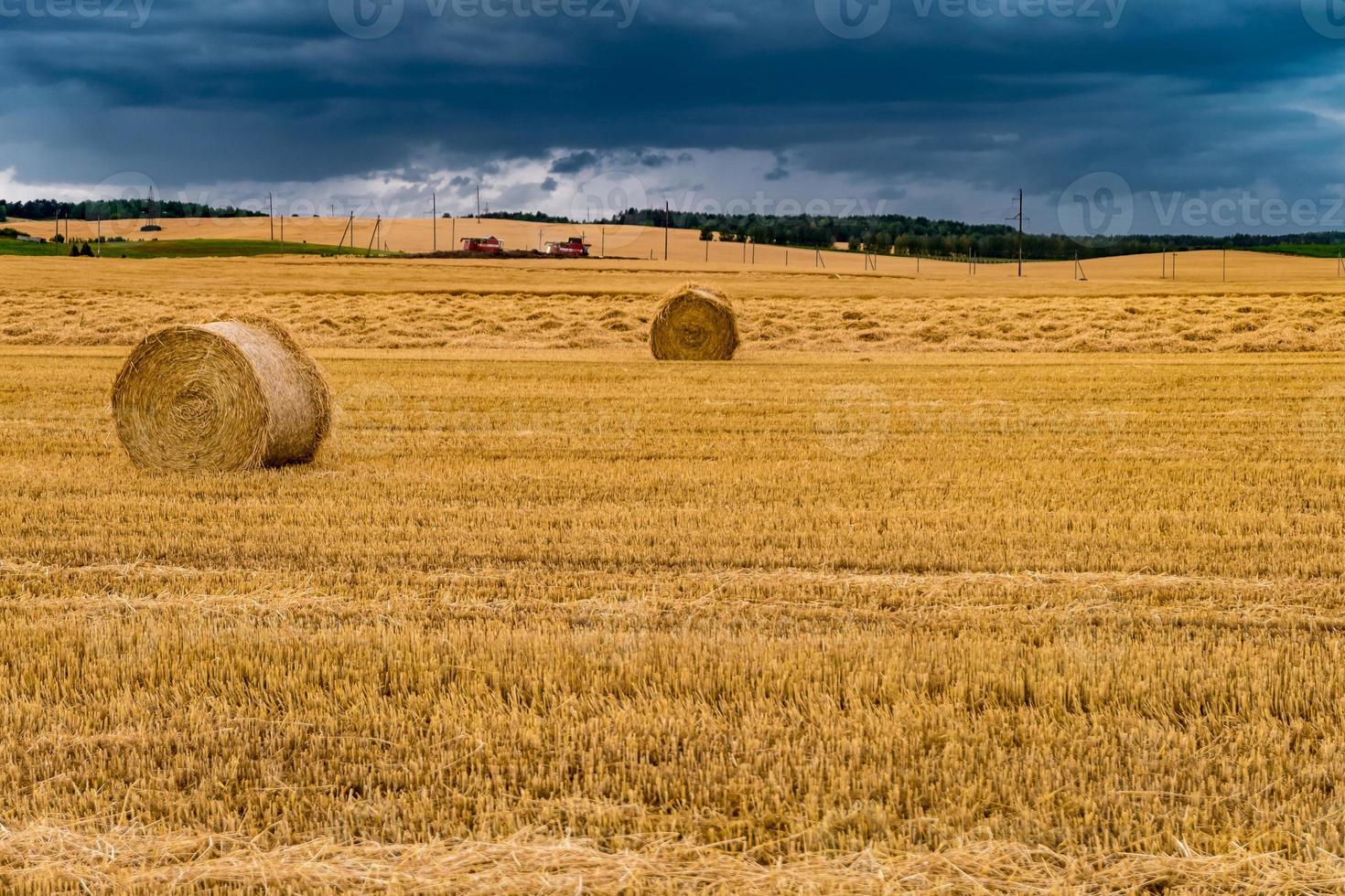 balle di fieno sotto il cielo nuvoloso della tempesta sul campo di grano raccolto. foto