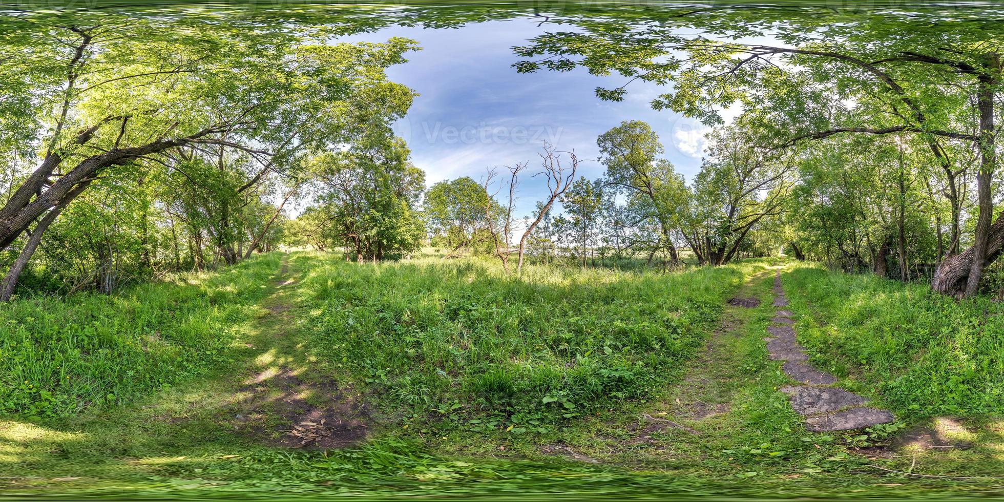 panorama hdri sferico completo senza soluzione di continuità vista angolare a 360 gradi su pista ciclabile e pedonale tra i cespugli della foresta in proiezione equirettangolare, contenuto di realtà virtuale vr ar pronto foto