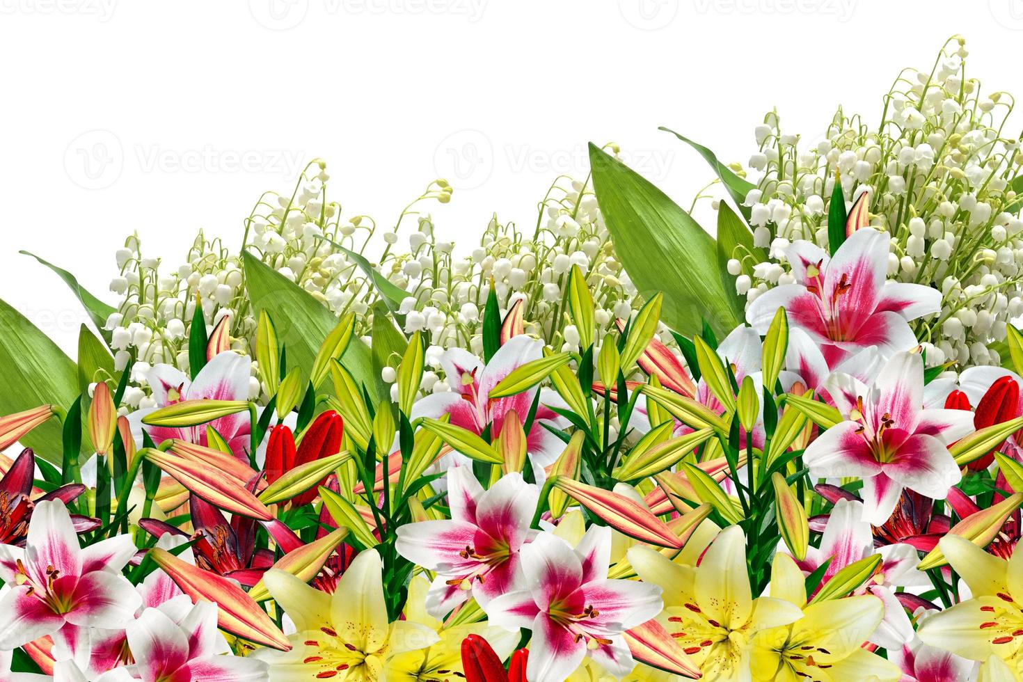 giglio fiore isolato su sfondo bianco. fiore delicato foto