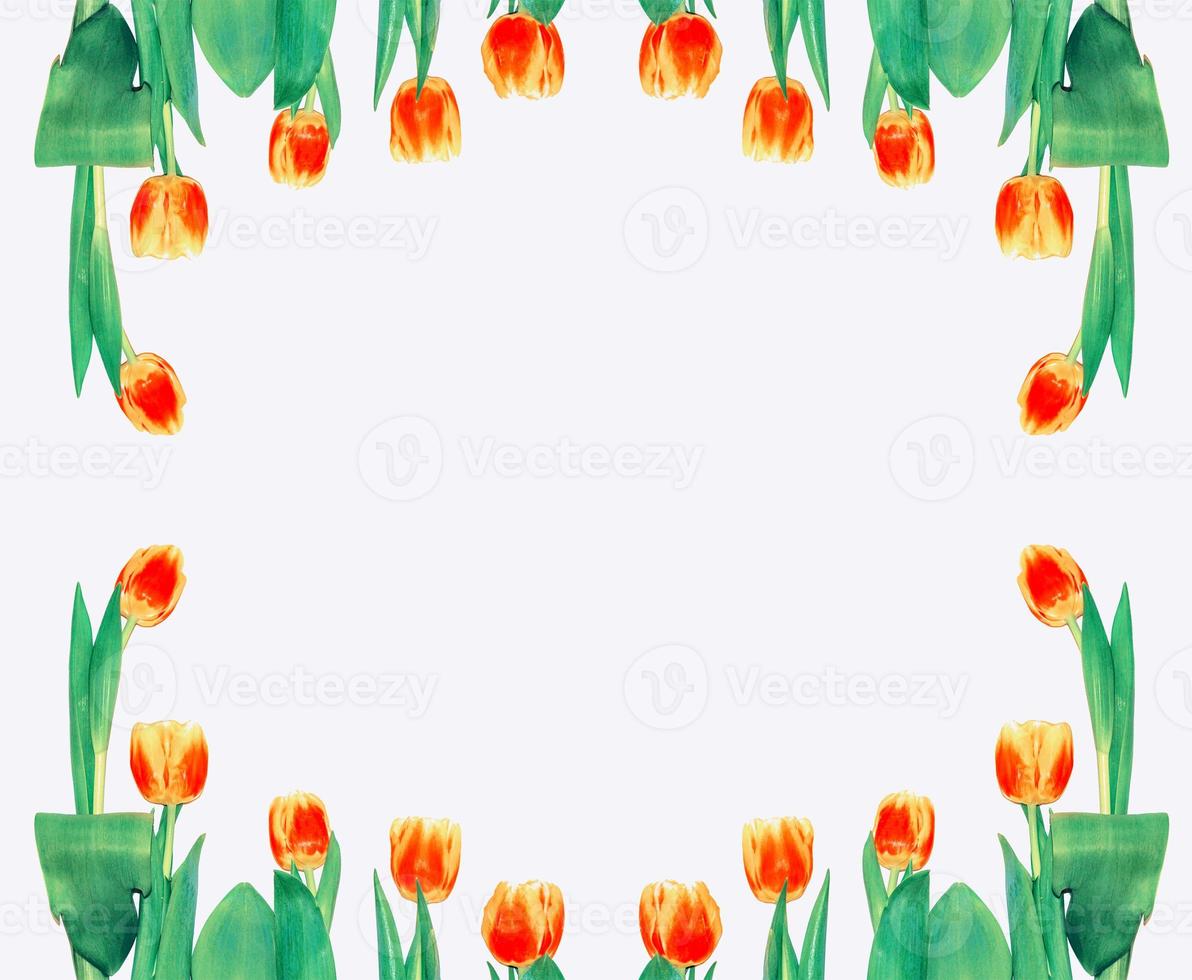 tulipani di fiori colorati primaverili. collezione floreale. foto