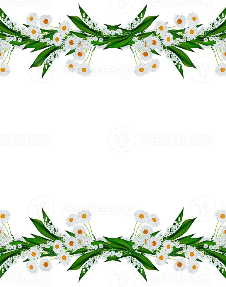 margherite fiore bianco estivo isolato su sfondo bianco foto