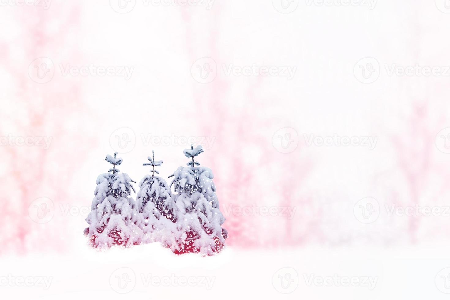 foresta invernale ghiacciata con alberi innevati. foto