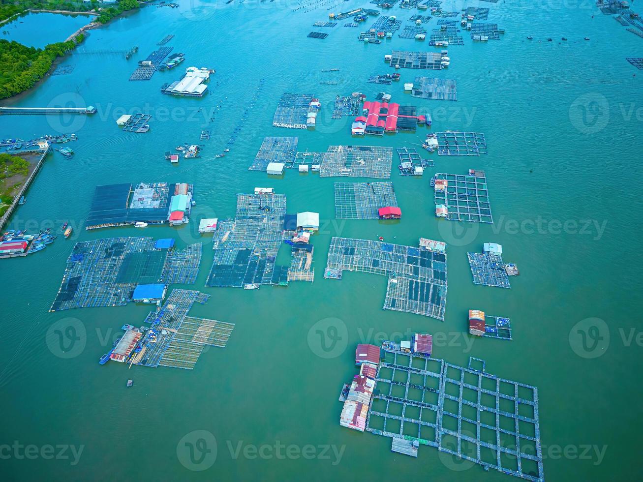 un angolo dell'allevamento di ostriche, villaggio di pescatori galleggiante nel comune di long son, provincia di baria vung tau vietnam. le persone che vivono e fanno l'industria del pesce nel villaggio galleggiante. foto