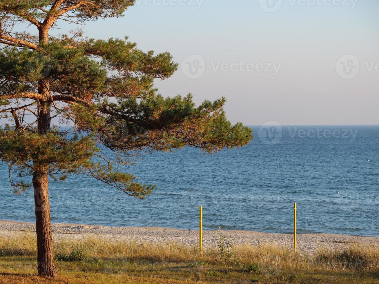 la spiaggia di Binz al mar blatic foto