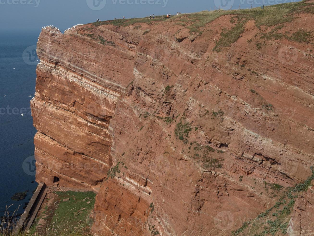 isola di Helgoland nel mare del nord foto