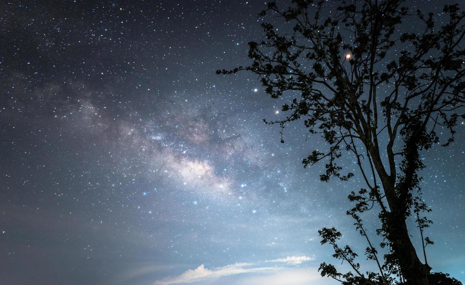 la Via Lattea sopra il cielo stellato. foto