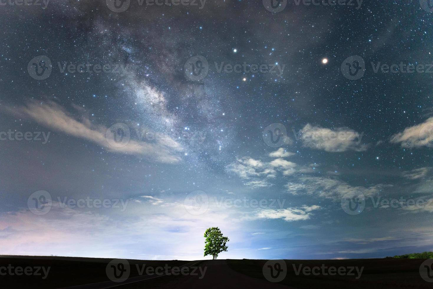 l'albero solitario sotto il cielo stellato e la via lattea. foto