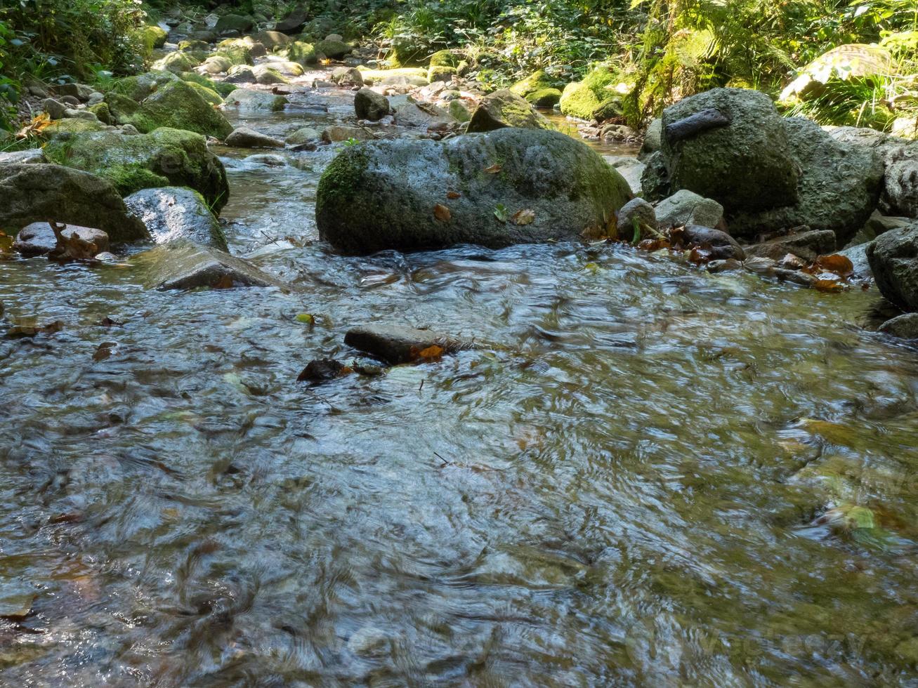 la foresta nera in germania foto