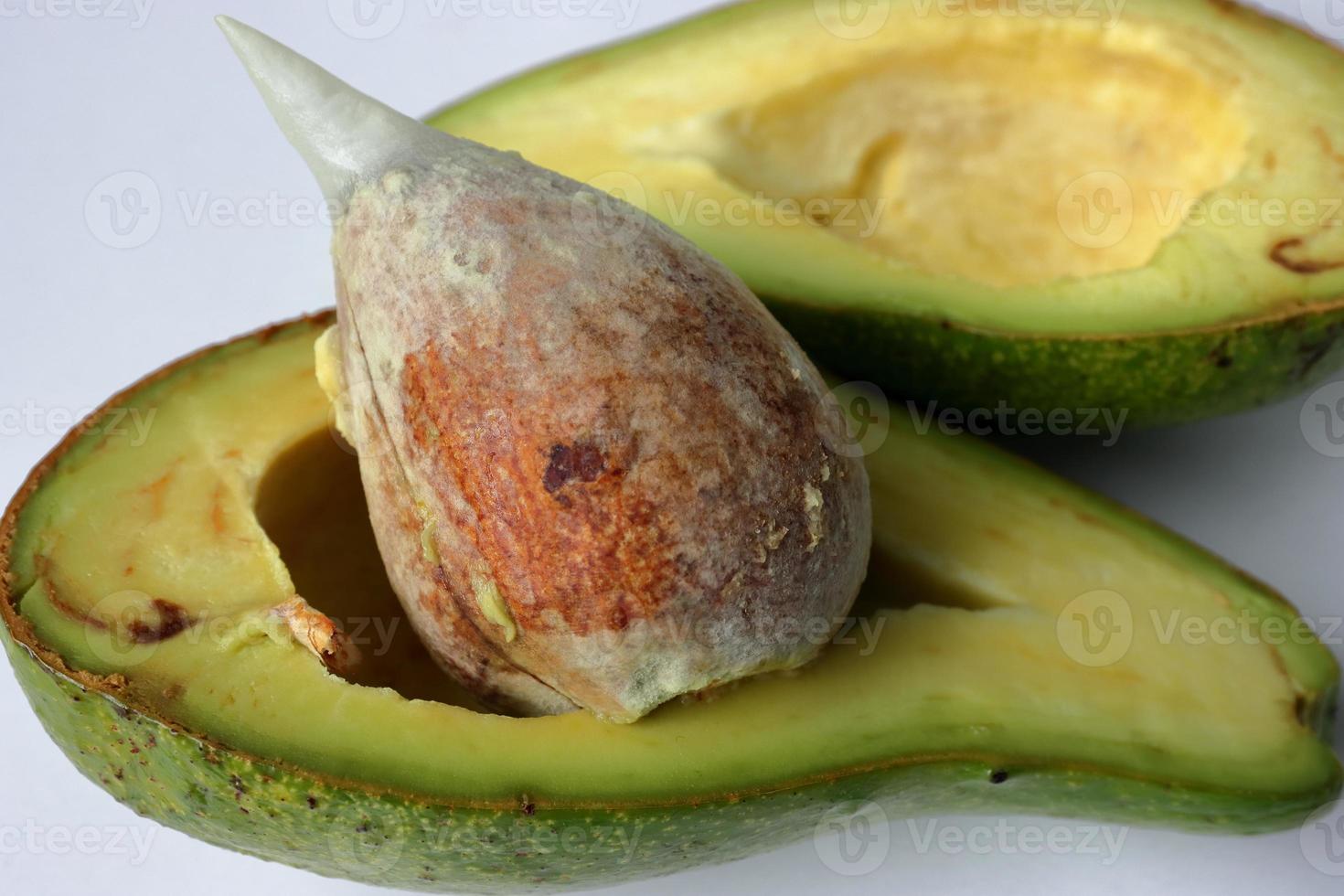 frutta fresca tropicale avacado su sfondo bianco foto