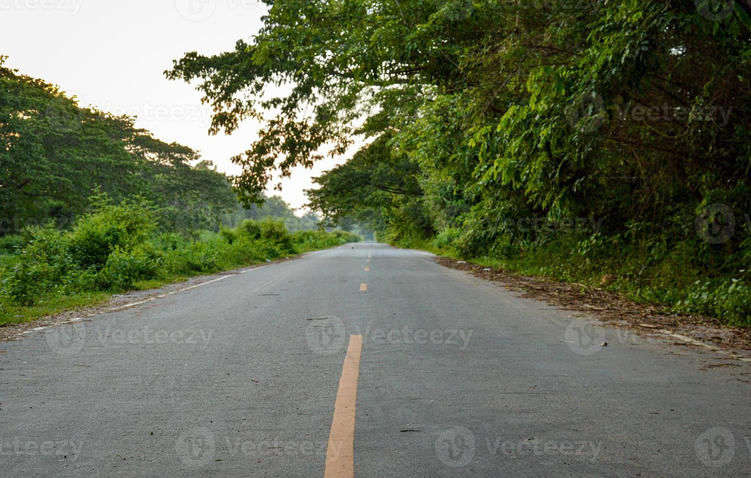 la strada asfaltata ha una linea guida gialla. immerso nel verde degli alberi. orario serale. concetto di viaggio. proteggere l'ambiente. foto