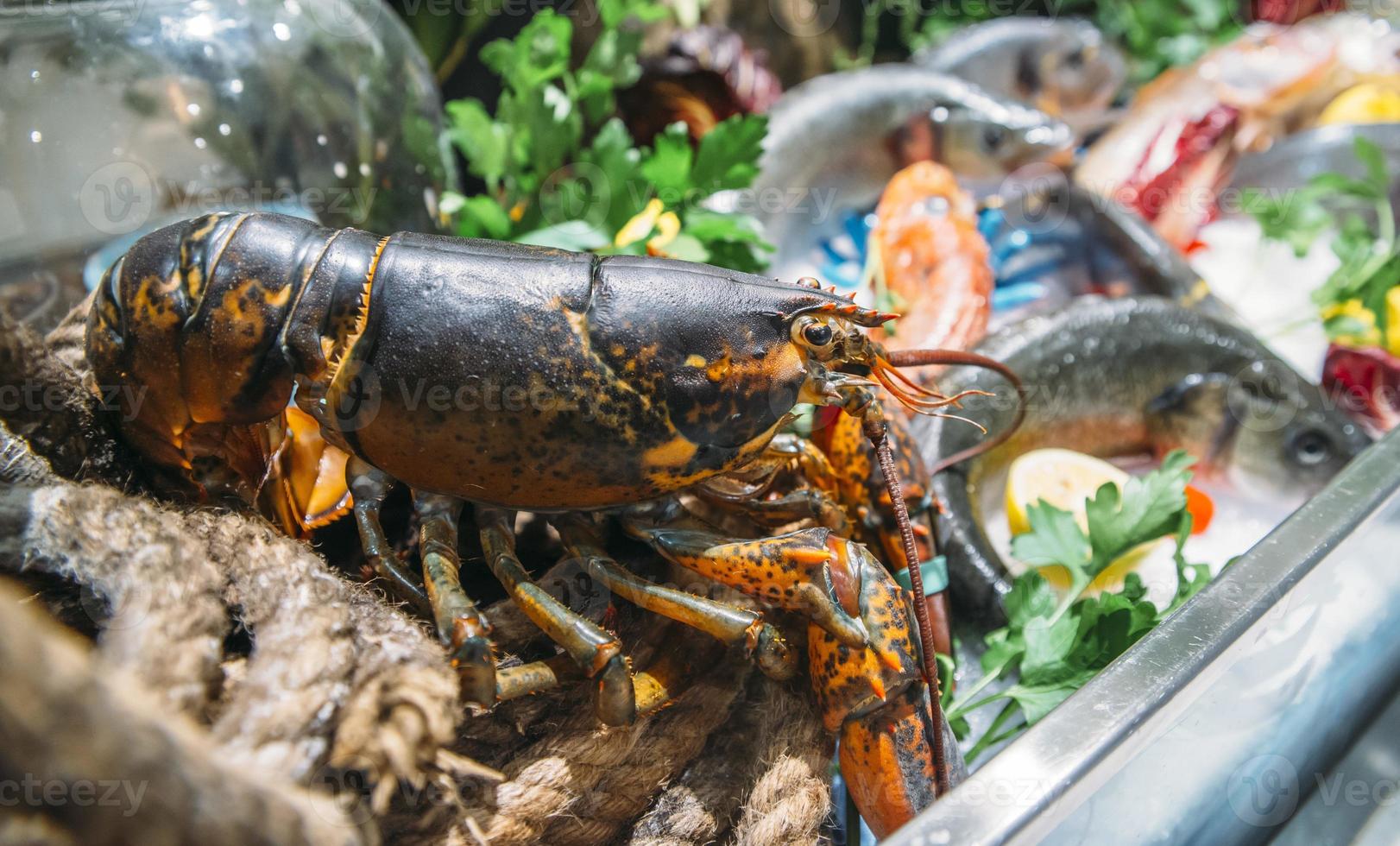 piatto di frutti di mare con una varietà di tipi di pesce in mostra su ghiaccio in un ristorante foto